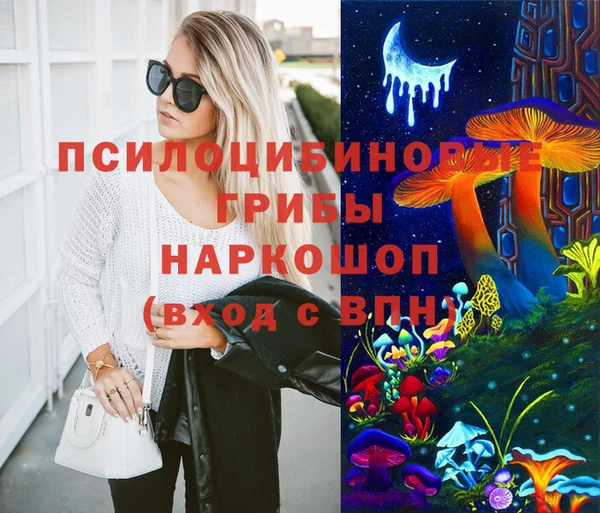 бошки Алзамай