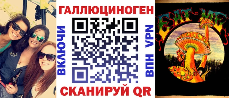 мега как зайти  Тайшет  Псилоцибиновые грибы мицелий 
