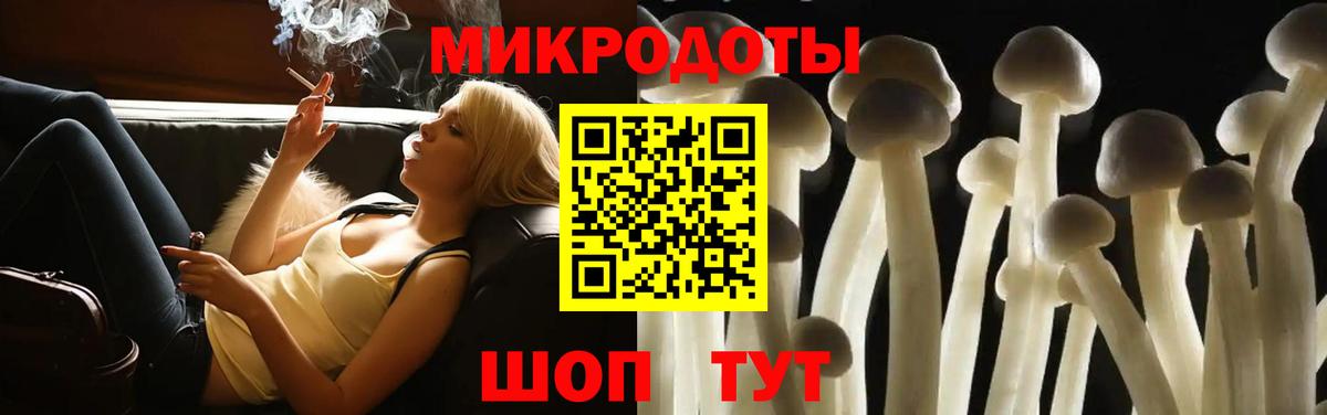 Псилоцибиновые грибы MAGIC MUSHROOMS  Вход с VPN  Тайшет 
